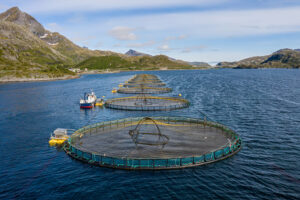 Sustainable Seafood: Discover the Environmental Benefits of Aquaculture