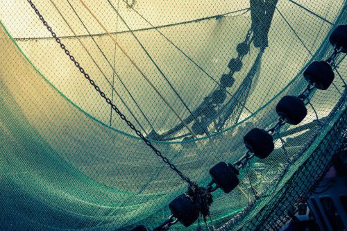 Mayasera Dyneema İpi: Balık Ağlarında Teknolojik Devrim